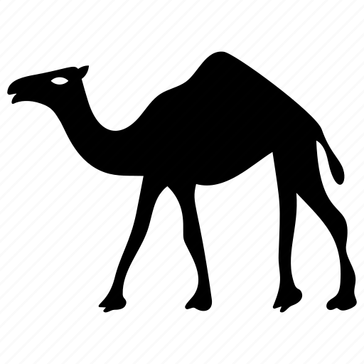 Animal, arabian camel, camel, desert animal, riding camel icon - Download on Iconfinder