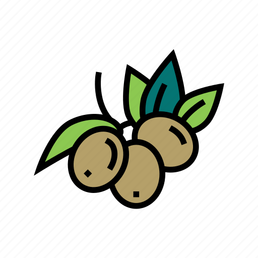 Olive, berries, production, harvesting, tree, cultivation icon - Download on Iconfinder