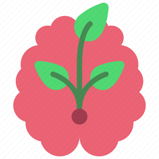 Brain, growth, elearning, grow, knowledge icon - Download on Iconfinder