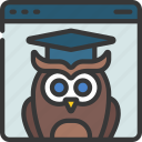wise, owl, online, elearning, wisdom, school
