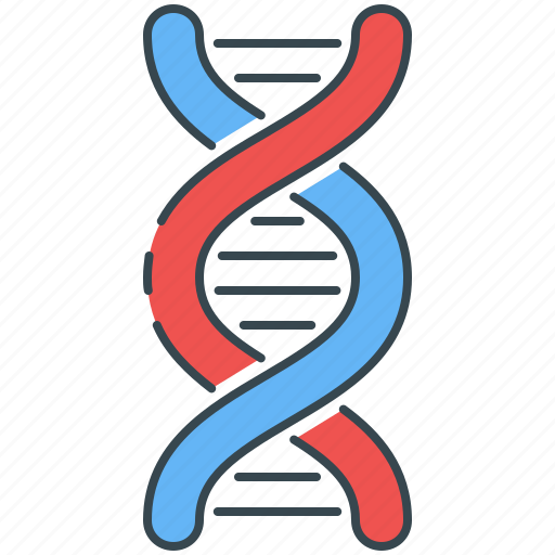 Biology, chromosome, dna, genetic, helix, science icon - Download on Iconfinder