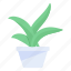indoor plant, succulent, plant, potted plant, plant vase 