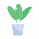 indoor plant, succulent, plant, potted plant, plant vase