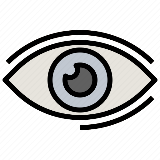 Eye, healthcare, medical, seo, view, visible, web icon - Download on Iconfinder