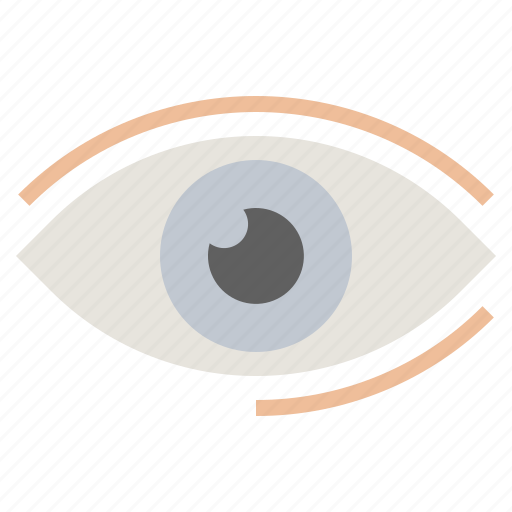 Eye, healthcare, medical, seo, view, visible, web icon - Download on Iconfinder