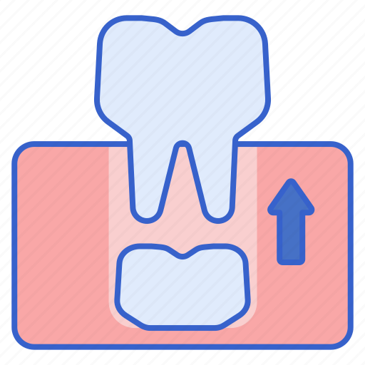Permanent, dentition, tooth, dental icon - Download on Iconfinder