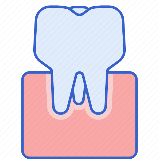 Molars, tooth, dentist, dental icon - Download on Iconfinder