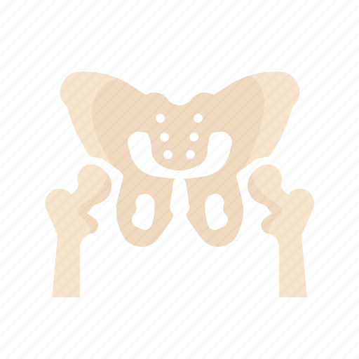 Hip, bone, innominate, skeleton, orthopedics, orthopedic, medical icon - Download on Iconfinder