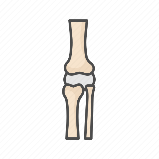 Knee, bone, joint, skeleton, orthopedics, orthopedic, medical icon - Download on Iconfinder