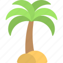 island, palm tree, sand tree, travelling, tropical tree