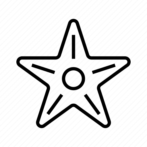 Star, fish, ocean, starfish, sea icon - Download on Iconfinder