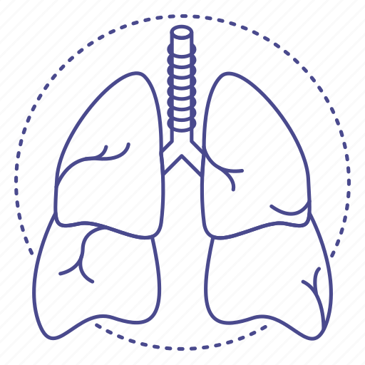 Lungs, health, lunge, anatomy, lung, healthy icon - Download on Iconfinder