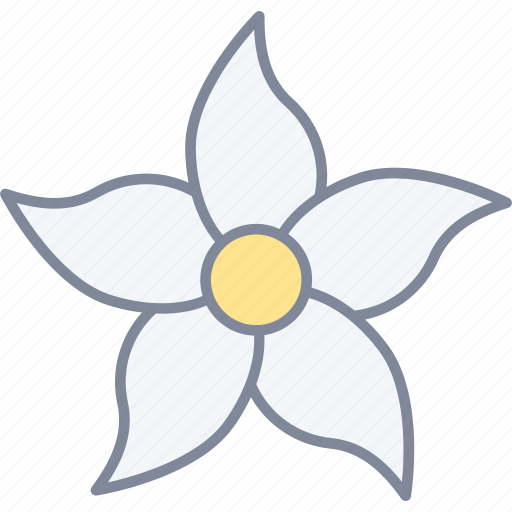 Jasmine, flower, blossom, nature icon - Download on Iconfinder
