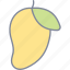 mango, fruit, organic, healthy 
