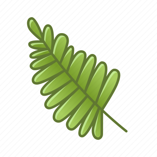 Leaf, palm, nature, tropical, tropic, leaves, green icon - Download on Iconfinder