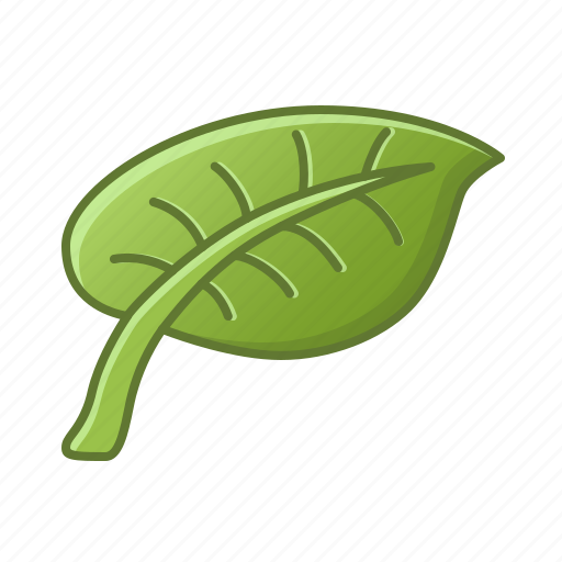 Leaf, palm, nature, tropical, tropic, leaves, green icon - Download on Iconfinder