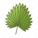 leaf, palm, nature, tropical, tropic, leaves, green 