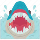 shark, scary, fear, dangerous, marine