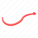 cartoon, computer, isometric, medical, parasite, red, worm