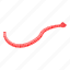cartoon, computer, isometric, medical, parasite, red, worm 