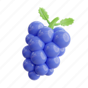 grapes, fruit, fresh, ripe, berry, bunch, food, healthy, wine 