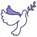 dove, peace, hope, pigeon, freedom, fly, wing