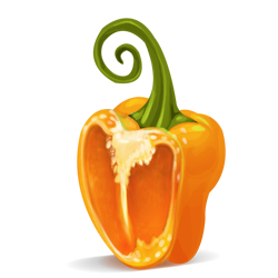 Half, orange, pepper icon - Free download on Iconfinder