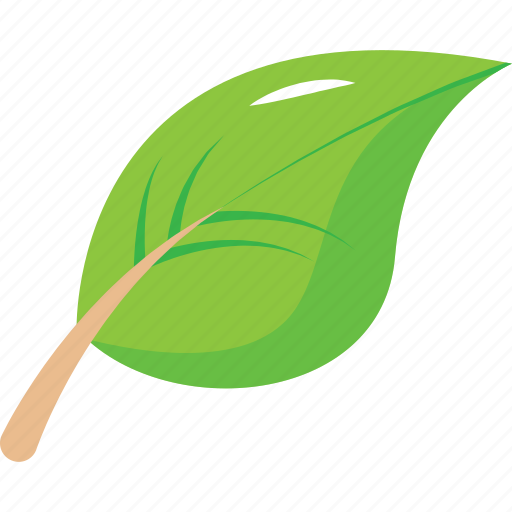 Eco, ecology, forest, green, natural, nature, palme icon - Download on Iconfinder