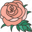 rose, floral, aroma, fragrance, natural 