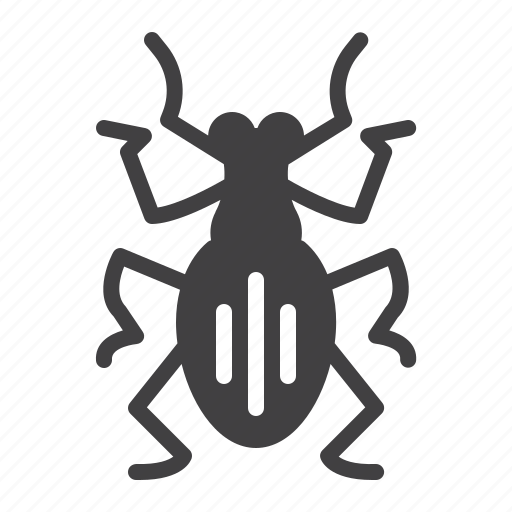 Weevil, pests, insects icon - Download on Iconfinder
