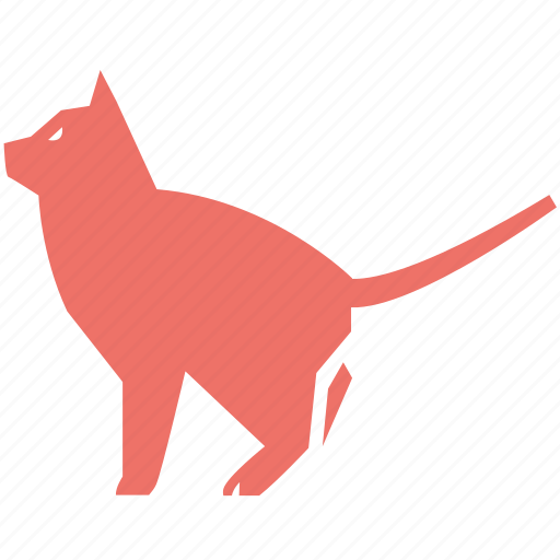 Cat, kitten, kitty, pet, siamese icon - Download on Iconfinder