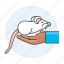 domestic, hand, rodent, pet, animal, albino, mouse, white 