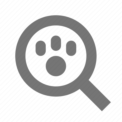 Search, magnify, paw, view, animal, find, lost icon - Download on Iconfinder