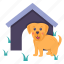 puppy, wooden house, kennel, doghouse, canine, breed, mammal 