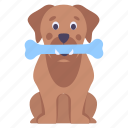 puppy sitting, holding bone, mascot, mouth, nose, hound, husky, doggie
