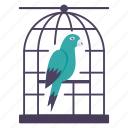 parrot cage, aviary, steel, hanging, feather, beak, freedom