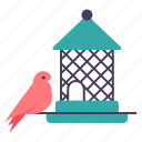 aviary, fancy birds, cage, sparrow, home, roof, dove