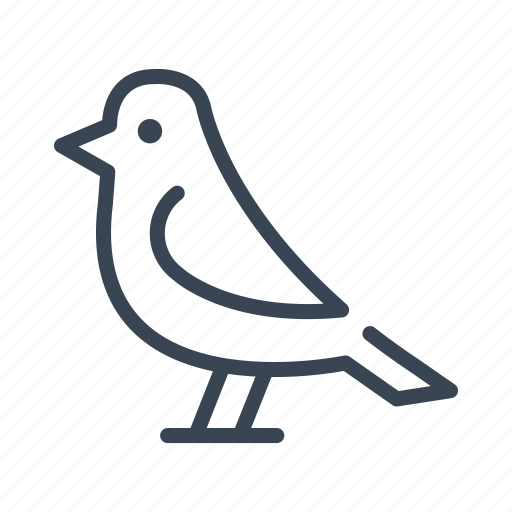 Bird, animal, pet icon - Download on Iconfinder