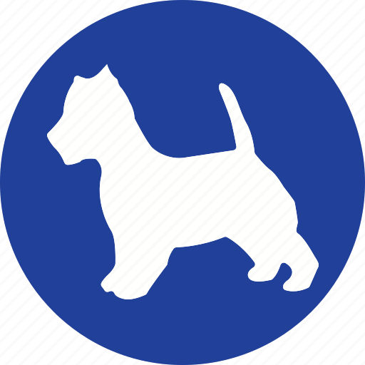 Animal, animals, care, mammal, pet, shop icon - Download on Iconfinder
