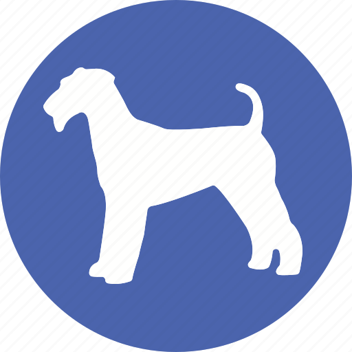 Animal, animals, care, mammal, pet, shop icon - Download on Iconfinder