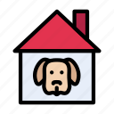 animal, dog, home, house, pet