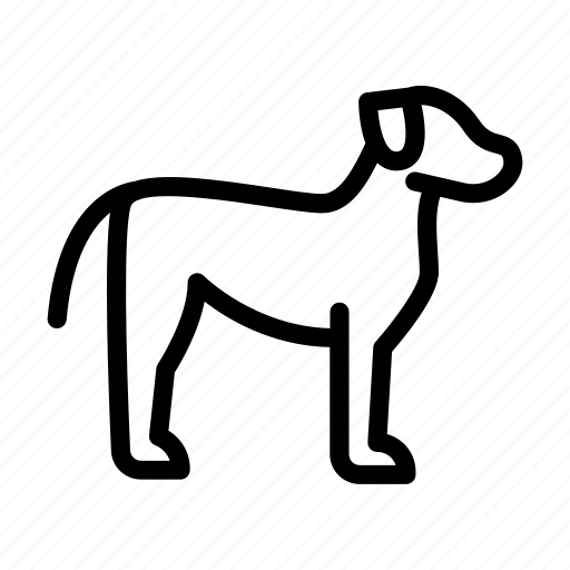 Animal, dog, perro, pet, puppy icon - Download on Iconfinder