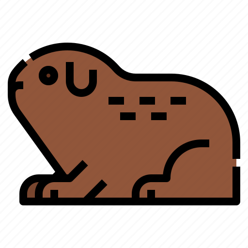 Guinea, mammal, pet, petshop, pig icon - Download on Iconfinder