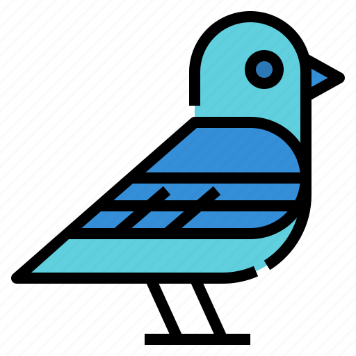 Animal, bird, mammal, pet, petshop icon - Download on Iconfinder