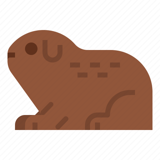 Guinea, mammal, pet, petshop, pig icon - Download on Iconfinder