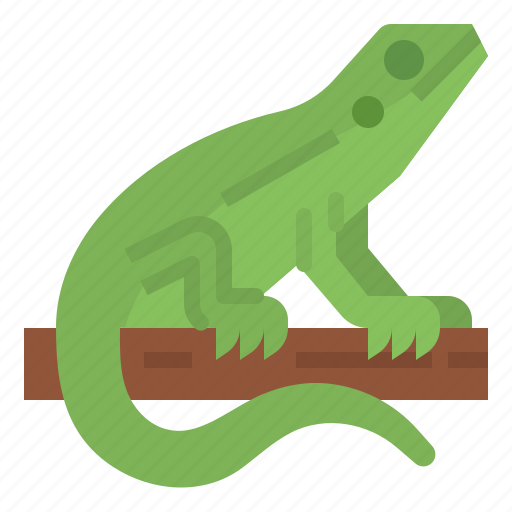 Blooded, cold, lizards, pet, petshop, reptile icon - Download on Iconfinder