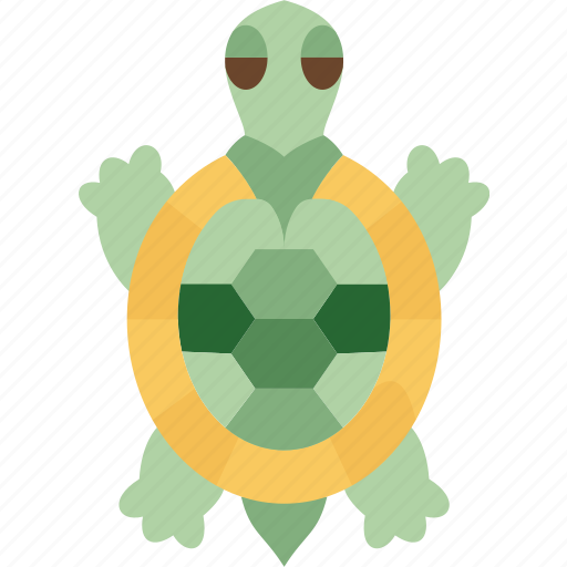 Turtle, pet, reptile, wildlife, animal icon - Download on Iconfinder