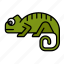 chameleon, lizard, reptile, amphibian, lizards, petshop, animal 