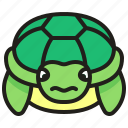 turtle, animal, tortoise, pet