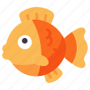 goldfish, fish, pet, aquarium